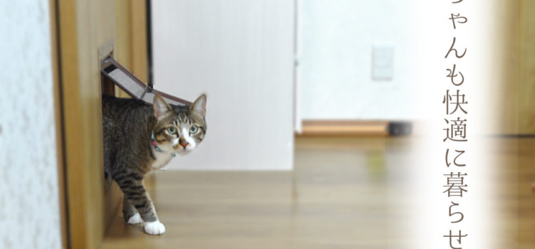 ご主人の趣味の部屋やバイクの部屋もあります!ねこちゃんも快適に暮らせる長期優良住宅の家。 ご主人の趣味の部屋やバイクの部屋もあります!ねこちゃんも快適に暮らせる長期優良住宅の家。